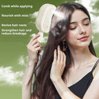 Electric Spray Air Cushion Massage Comb, 2026